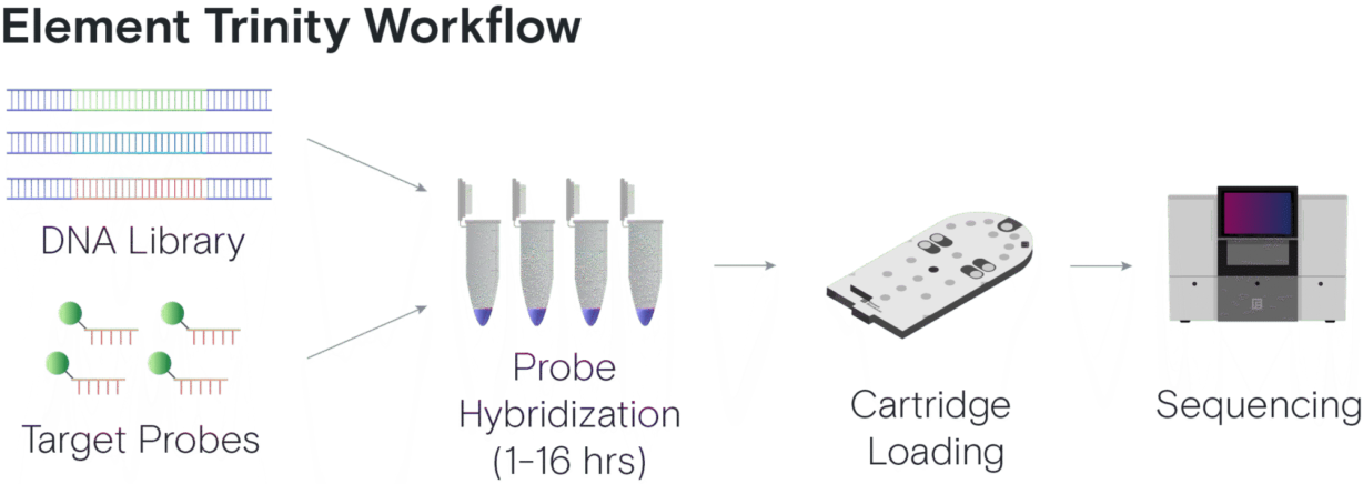 Trinity Workflow